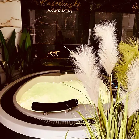 Z Jacuzzi - Centrum Szczytna Mazury * Szczytno (Warmian-Masurian)